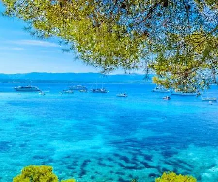 Diamond Omis